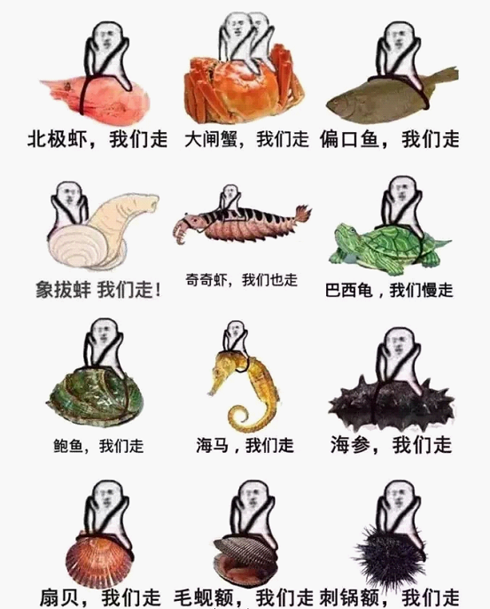 最近刷屏的“皮皮蝦”你知道是什么梗嗎？來(lái)，走起