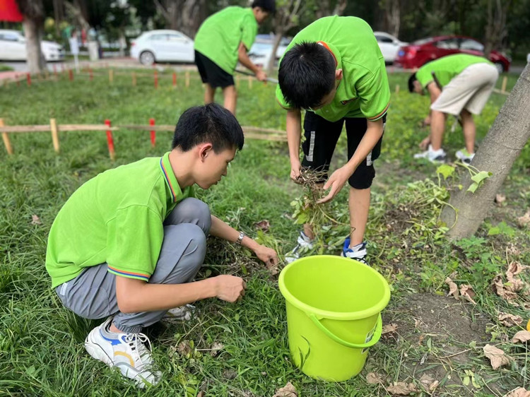 豐收季來襲！新華農(nóng)場喜迎豐收季~