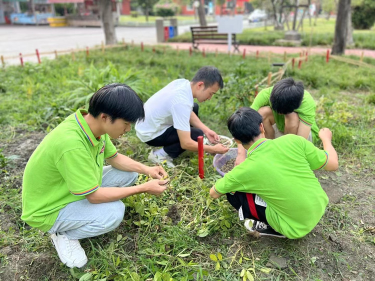 豐收季來襲！新華農(nóng)場喜迎豐收季~