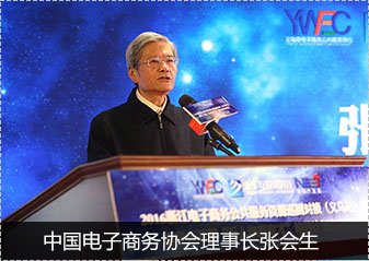 中國電子商務(wù)協(xié)會理事長張會生